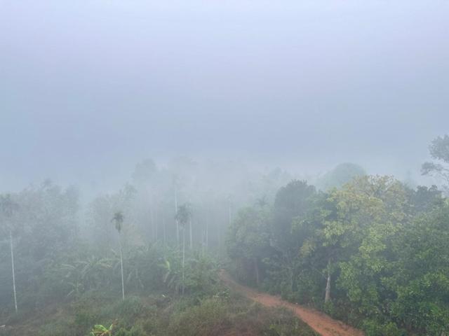Wayanad Vista Service Apartment Екстериор снимка